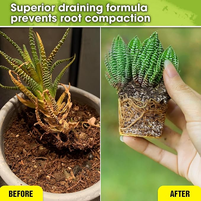 DUSPRO Succulents Soil Potting Mix – 7 in 1 Ingredients Well-Draining, Nutrient-Rich Cactus Potting Soil for Succulents and Cacti, Indoor & Outdoor Use, Ready to Use, Supports Healthy Root Growth, 2QT