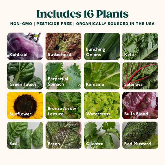 New & Improved! Gardyn Studio 2 Hydroponics Growing System - 16 Non-GMO Plants, Herbs, Vegetables - Smart Tower - Hydroponic Herb Garden Planter Indoor Kit - Indoor Gardening System w/Grow Lights