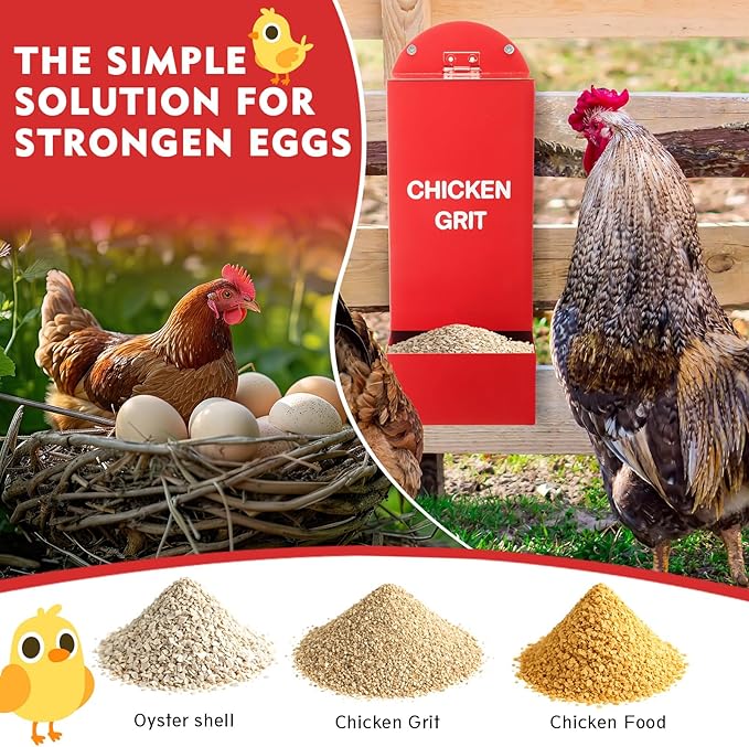 Leinuosen 4 Pack Metal Chicken Oyster Shell and Grit Feeder with Lid Rainproof Hanging Chicken Feeder Trough Automatic Gravity Poultry Coop Accessories Water Dispenser for Chicks, Ducks, Quail
