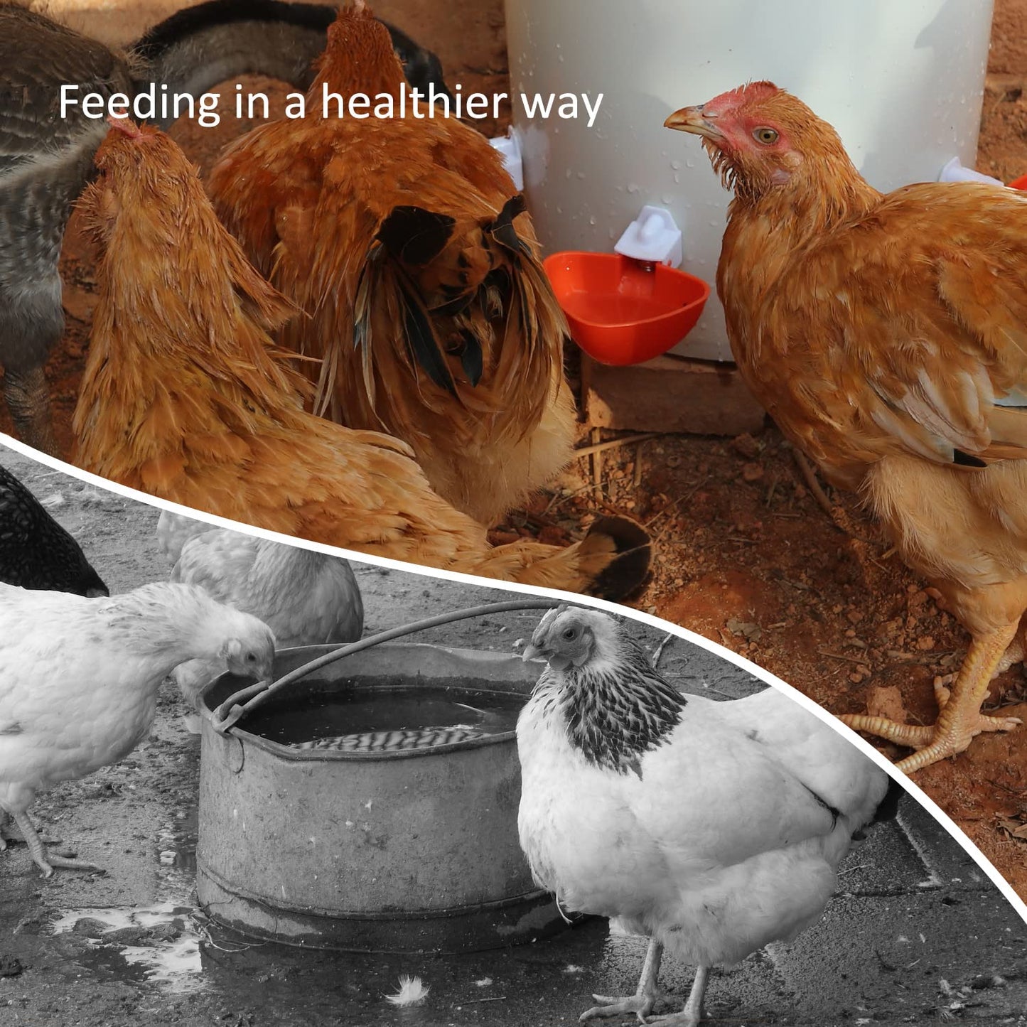 Essilnn DIY Chicken Feeder and Waterer Automatic Chicken Feeder No Waste Poultry Feeder Kit for Buckets Barrels Bins Troughs, 6 Ports and 6 Water Cups