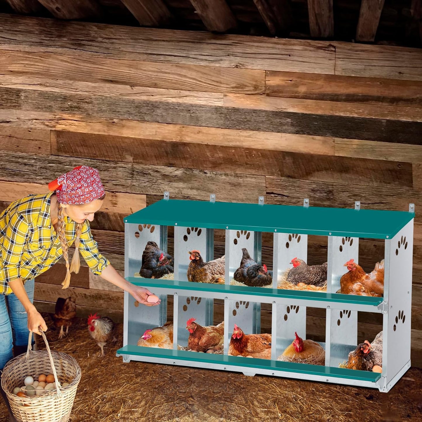 Toriexon Chicken Nesting Box, 10 Compartment Nesting Box, 10 Room Metal Nesting Boxes for Chicken, Green
