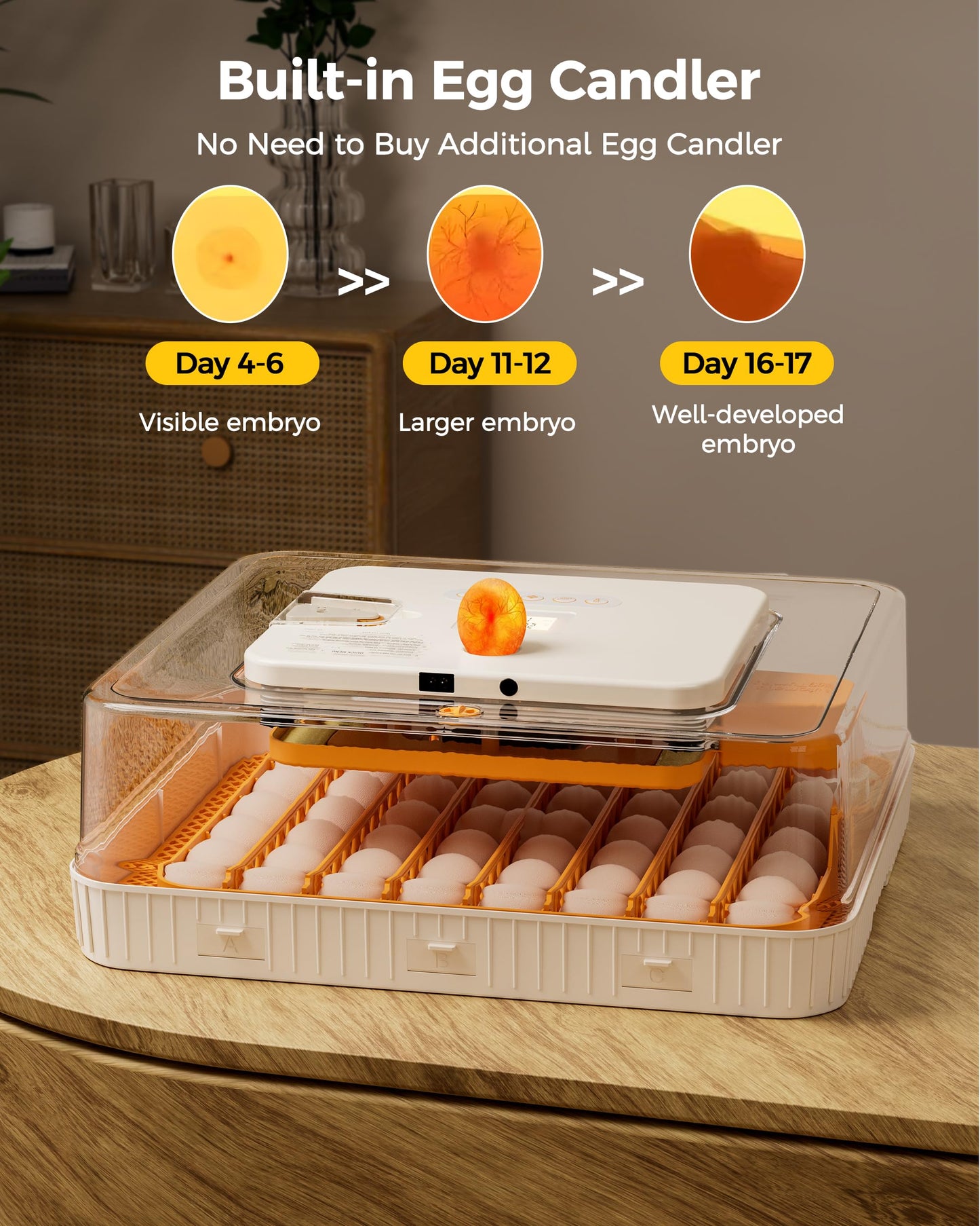 Besly 56 Egg Incubator with Automatic Egg Turning and Humidity Control, 360° Viewing, Chicken Incubator for Hatching Duck, Goose, Turkey, Quail, and Parrot Eggs, Egg Candler Ideal for Farm, Home