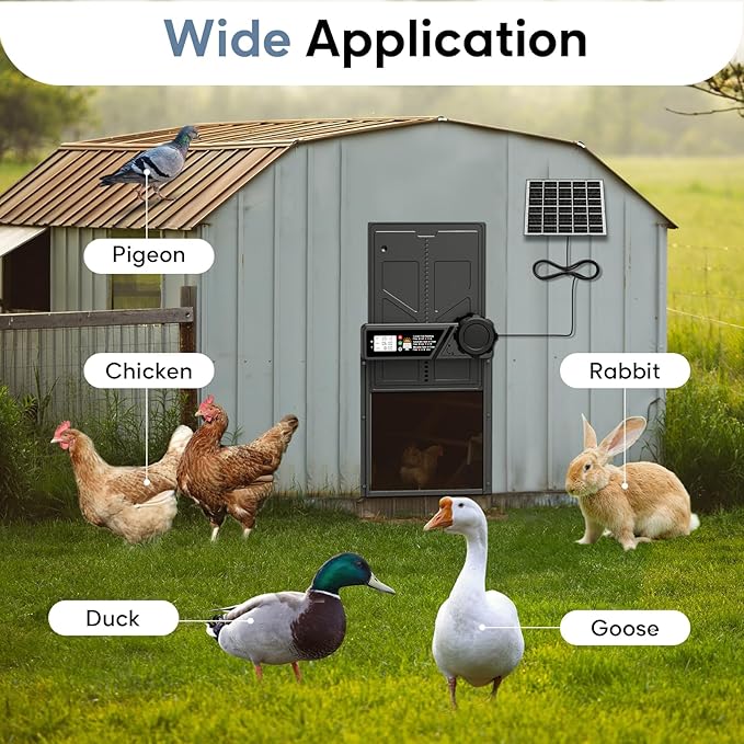 Large Size Automatic Chicken Coop Door Solar - Powered Auto Chicken Door Opener, Timer Modes for Safe and Convenient Chicken Keeping with Intelligent Obstacle Sensors, Remote Control, 14.2"H x 10.83"L