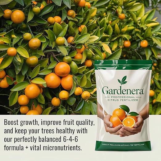 𝐁𝐄𝐒𝐓𝐒𝐄𝐋𝐋𝐄𝐑 Citrus Fertilizer + Vital Micronutrients - Perfect Balanced NPK for All Citrus - for Indoor and Outdoor Plants - Orange, Lime, Avocado and Lemon Tree Fertilizer - 1 Quart