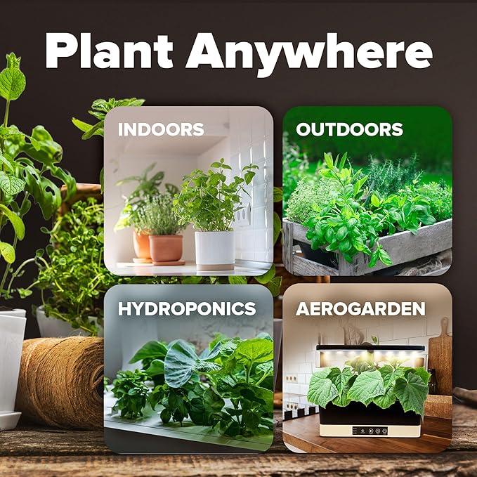 HOME GROWN Premium USA-Grown Vegetable Seeds - 10 Variety Pack with 5,800+ Non-GMO Heirloom Seeds for Planting - Garden Vegetable Seeds for Indoor & Outdoor Planting - Survival Seed Vault Kit