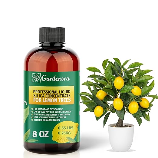𝐏𝐑𝐄𝐌𝐈𝐔𝐌 Liquid Silica Plant Supplement - 8oz (250mL) - Lemon Trees Plants Liquid Silica Boost Fertilizer - Stronger Stems & Healthy Leaves for Indoor & Outdoor Lemon Trees (Makes 45 Gallons)