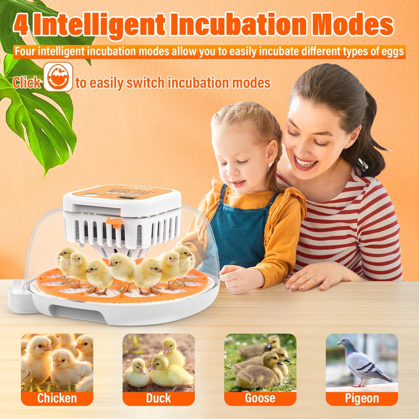 ONKO 12 Egg Incubator with Auto Temp & Humidity Control for Home, Farm, Classroom, Auto Egg Turner & Stop, External Water Refill, Air Vent, 360° Clear View, Hatching Chicken, Duck, Goose, Pigeon Eggs