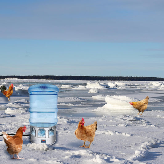 Heated Chicken Waterer - 5 Gallon Metal Base With Temperature Indicator for Winter - For Chickens, Ducks, Pigeons (Does Not Contain Buckets)