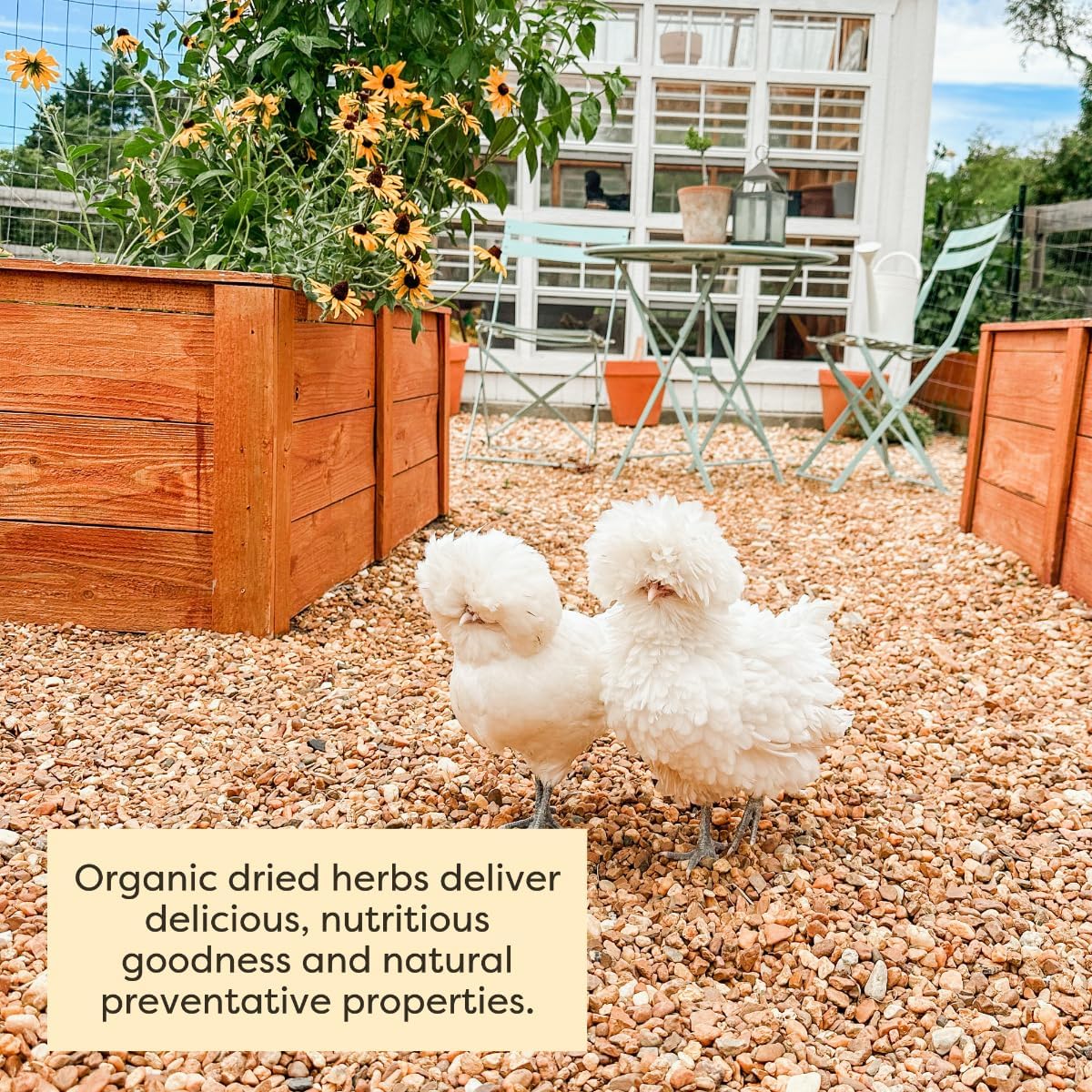 Scratch and Peck Dried Herbs Supplement for Chickens and Ducks - 10 oz Bag - Natural, Aromatic Nesting Box Herbs - Certified Organic and Non-GMO Project Verified