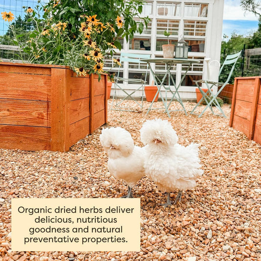Scratch and Peck Dried Herbs Supplement for Chickens and Ducks - 10 oz Bag - Natural, Aromatic Nesting Box Herbs - Certified Organic and Non-GMO Project Verified