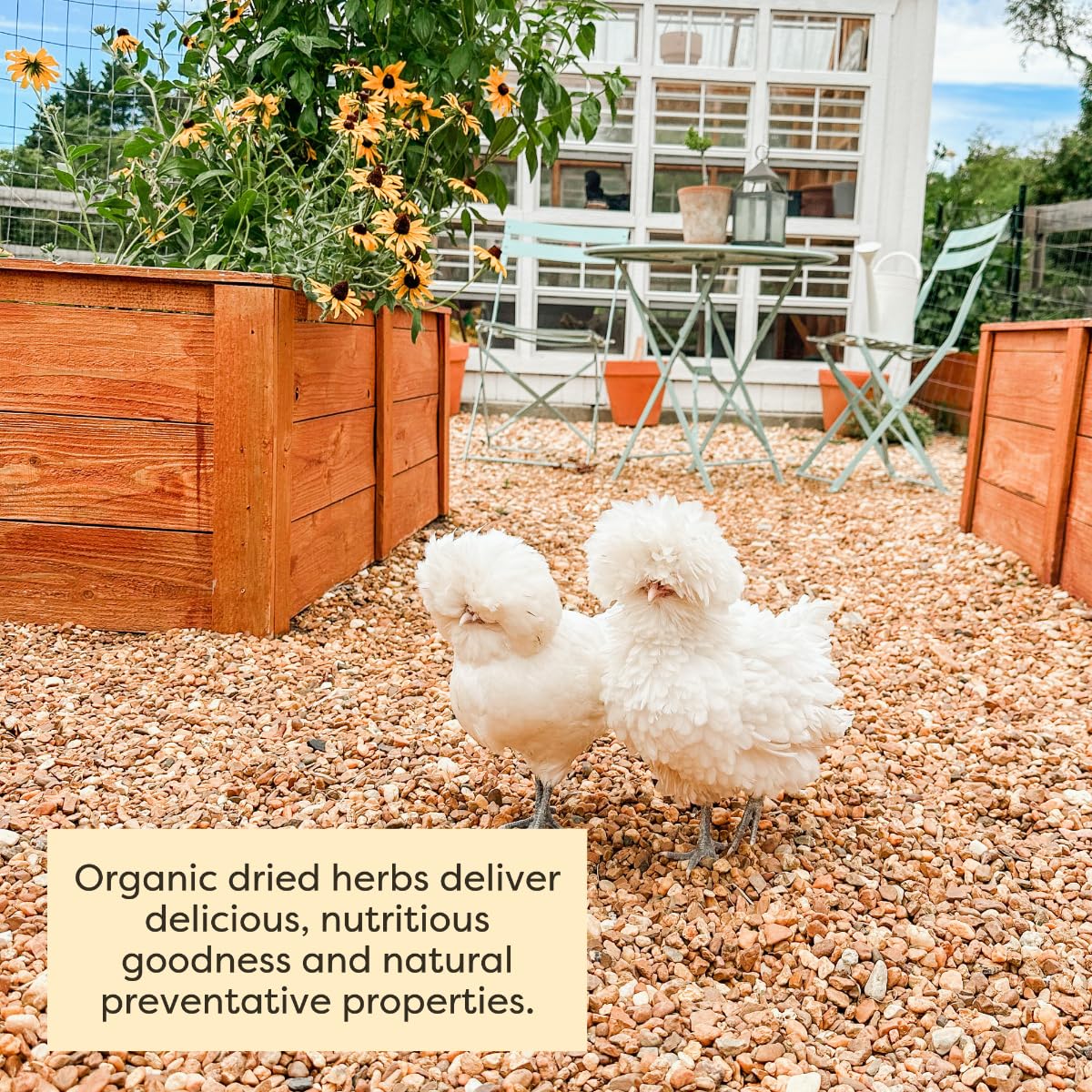 Scratch and Peck Dried Herbs Supplement for Chickens and Ducks - 10 oz Bag - Natural, Aromatic Nesting Box Herbs - Certified Organic and Non-GMO Project Verified