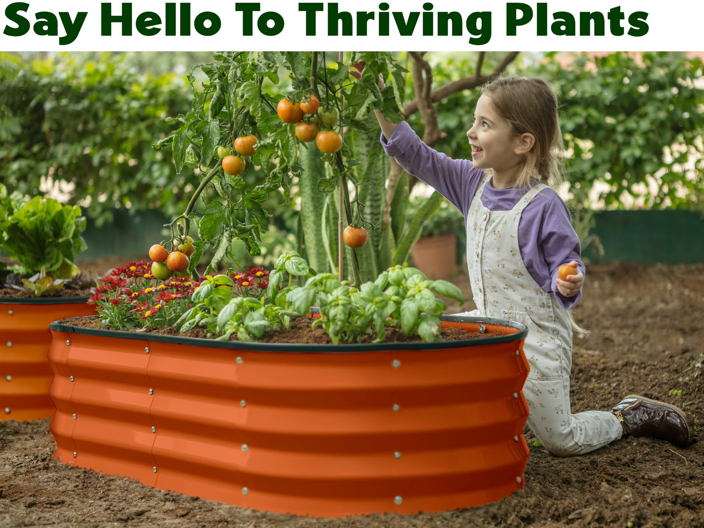 Galvanized Raised Garden Beds Outdoor // 4×2×1 ft & 8×2×1.5 ft Modular Planter Raised Beds for Gardening, Vegetables, Flowers // Large Metal Garden Box