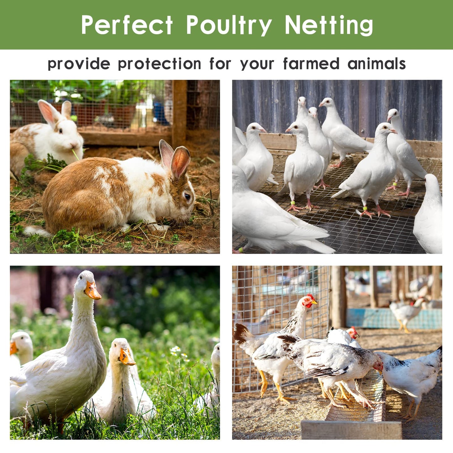 Tongmo 24" x 50' Hardware Cloth, 1inch Mesh Galvanized Chicken Wire Fence, 19 Gauge Welded Wire Roll,Garden Fence, Poultry Netting for Rabbit/Duck/Chicken Coop