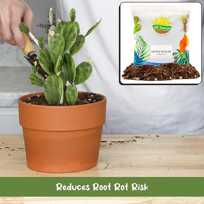 Cactus and Succulent Potting Mix (8 Quarts), Special Blend-Fast Draining and Desert-Style Gritty