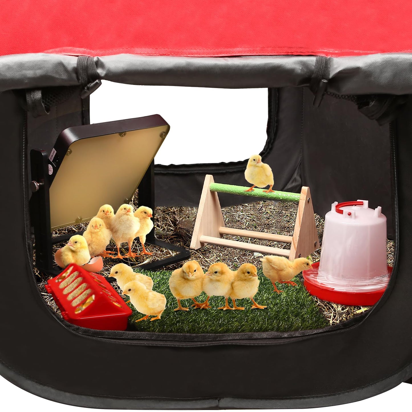 Brooder Box for Chick Starter Kit - 2025 Upgrade Dual Door Chicken Brooder Pen/Playpen/Tent with 10*10 in Brooder Heating Plate,Nesting Pad,Chicks Feeder＆Waterer,Chick Perch Up to 15 Chicks,Duck,Quail