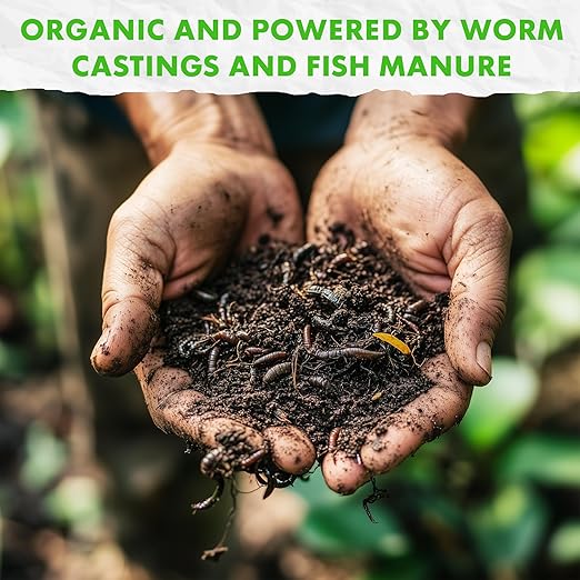 Fishnure -8 lbs Organic Fertilizer Humus Compost Made from Worm Castings and Fish Manure Vermicompost - Odor Free - Indoor and Outdoor use - for Gardens, Flowers, Herbs, Vegetables, Succulents