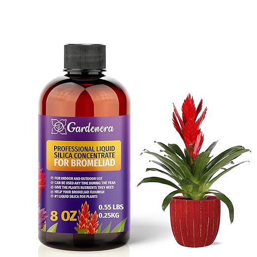 𝐏𝐑𝐄𝐌𝐈𝐔𝐌 Liquid Silica Plant Supplement - 8oz (250mL) - BROMELIAD Plants Liquid Silica Boost Fertilizer - Stronger Stems & Healthy Leaves for Indoor & Outdoor Bromeliad Plants (Makes 45 Gallons)