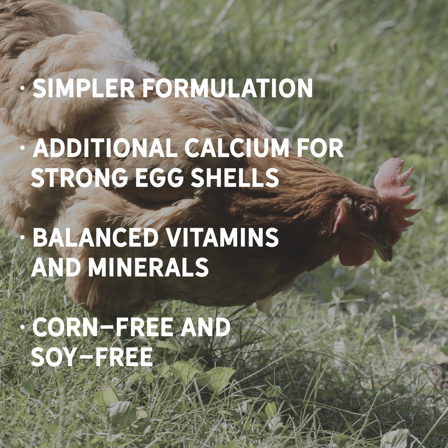 New Country Organics I Pastured Perfect Layer Feed for Laying Hens | Corn-Free and Soy-Free | 17% Protein | Certified Organic and Non-GMO | 40 lbs