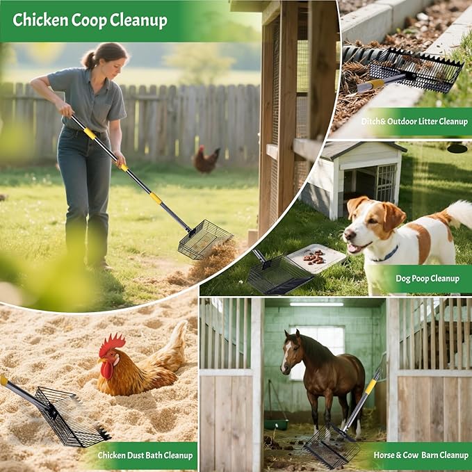 Chicken Coop Poop Scooper with Rake - Ergonomic 12" Sand Sifter Scoop, 65"Adjustable Long Handle, Heavy Duty Litter Pooper Cleaning Tool for Dust Bath,Chicken Run,Dog Yard, Farm Animals