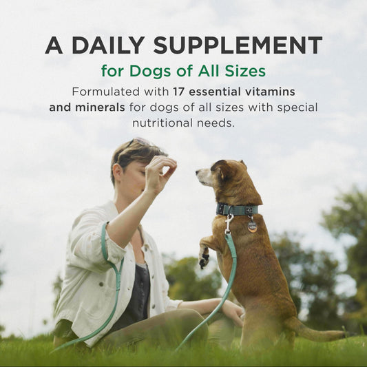 Pet-Tabs Multivitamin and Mineral Supplement for Dogs, Chewable Tablet, 500 Count Bottle for Multidog Household
