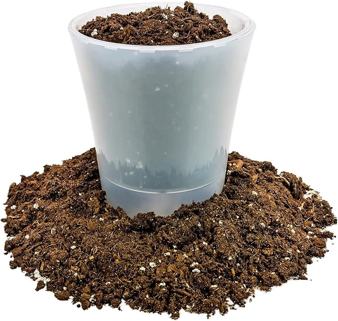 GARDENERA Money Tree Potting Soil - 10 Quart - Soil Mix for Planting or Repotting Guiana Chestnut, Blended Mix to Properly Grow Money Tree Plants (2 Bags of 5 Quart)