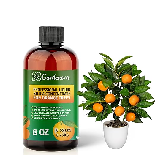 𝐏𝐑𝐄𝐌𝐈𝐔𝐌 Liquid Silica Plant Supplement - 8oz (250mL) - Orange Tree Plants Liquid Silica Boost Fertilizer - Stronger Stems & Healthy Leaves for Indoor & Outdoor Orange Trees (Makes 45 Gallons)