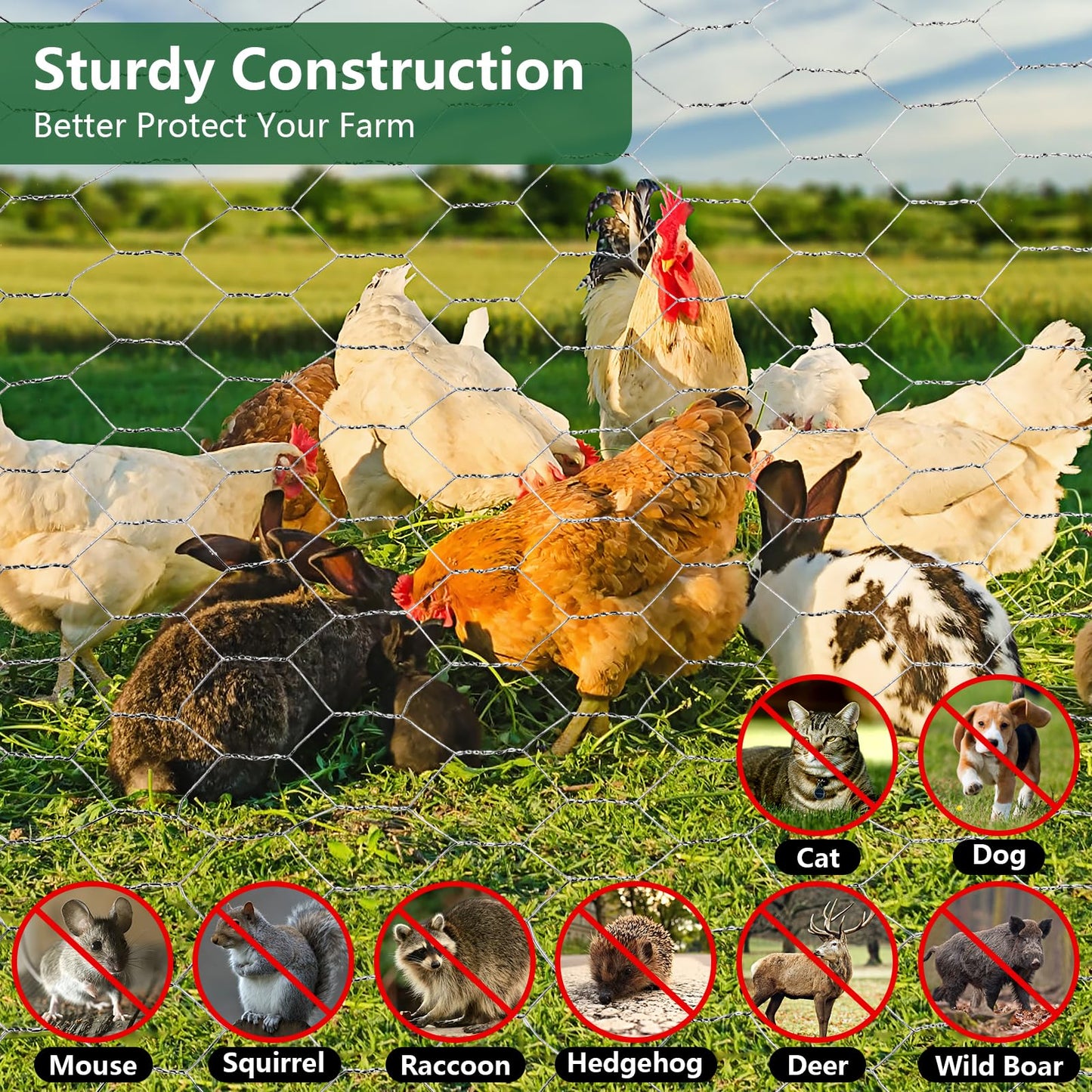 ROADPLUM Chicken Wire Mesh 13.8 x 157 in, Rustproof Galvanized Iron Garden Fence Barrier for Pet Rabbit Cat, Floral Chicken Wire Netting to Protect Poultry Plant Fruit