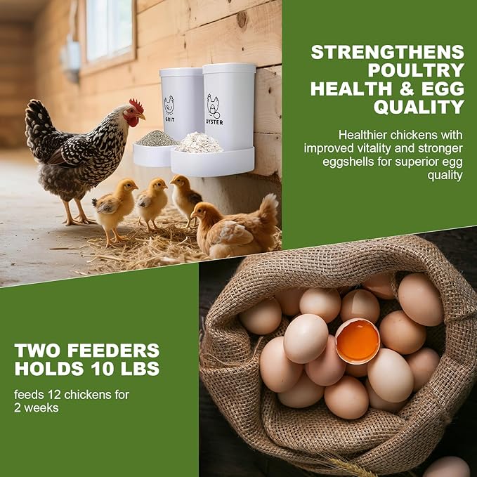 2 Pack Chicken Oyster Shell Feeder and Grit Feeder, Automatic Hanging Chicken Feeder and Chicken Coop Accessories Improve Eggshell Quality and Hen Health