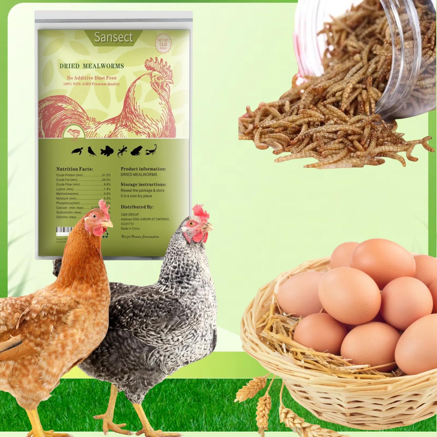 SANSECT 5LB Dried Mealworms, 100% Natural Non-GMO Dried Mealworms for Chickens, High Protein Chicken Feed Meal Worms for Chickens, Ducks, Turtles and Reptiles