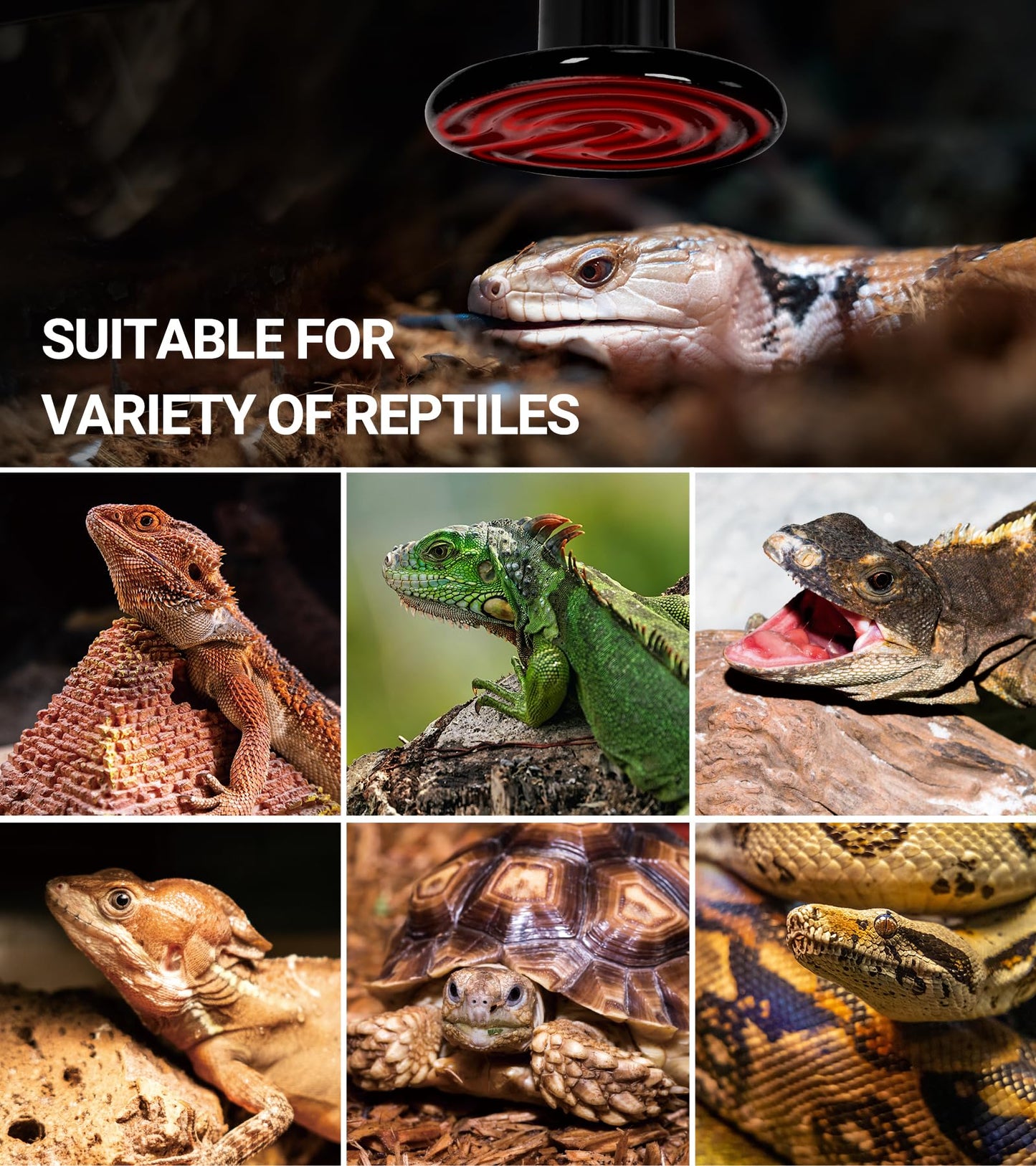 REPTI ZOO 100W Reptile Heat Lamp 2Pack Ceramic Heat Emitter Night Heat Lamp Bulbs Reptile Terrarium Heat lamp Tank Heat Bulb for Turtle Bearded Dragon Gecko Lizard Snake Chicken E26
