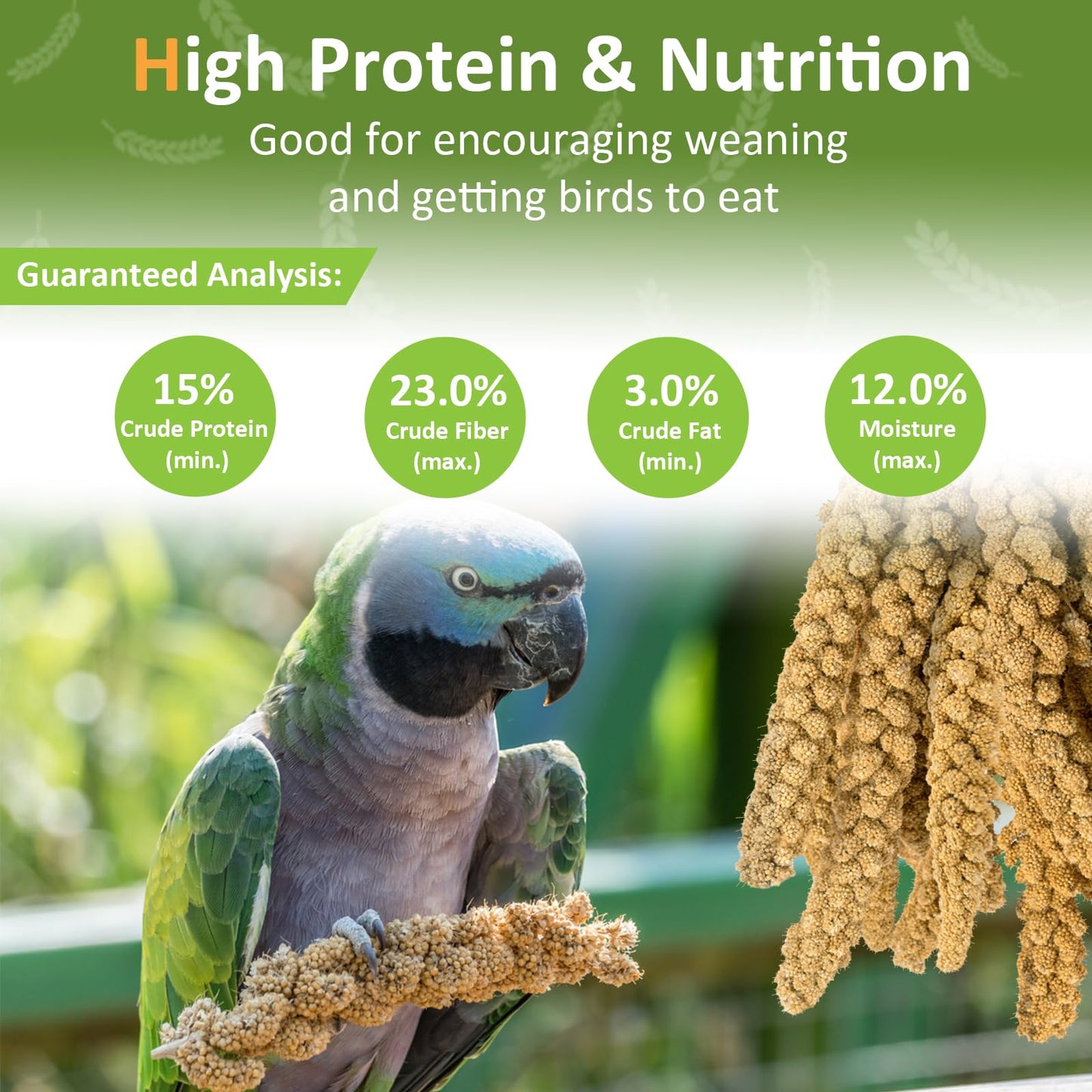 HATORTOP Spray Millet for Birds 5LB - All Natural Sun-Dried Healthy Treat, Millet Spray for Parakeets, Parrots, Lovebirds, Cockatiels Food, 100% Non-GMO High Protein Fresh Bird Seed