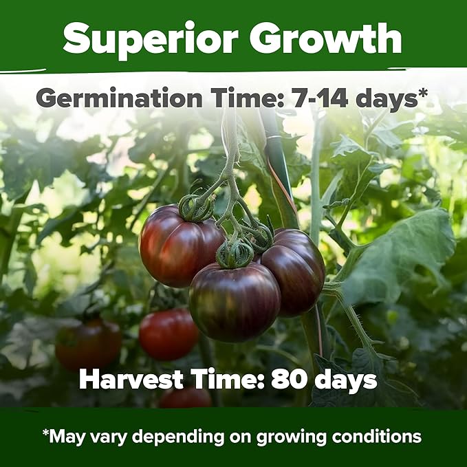 HOME GROWN Organic Cucumber & Cherokee Purple Tomato Seeds – 200 Marketmore Cucumber Seeds + 106 Heirloom Tomato – Non-GMO, High Germination Rate, Ideal for Raised Beds & Containers, USA-Sourced