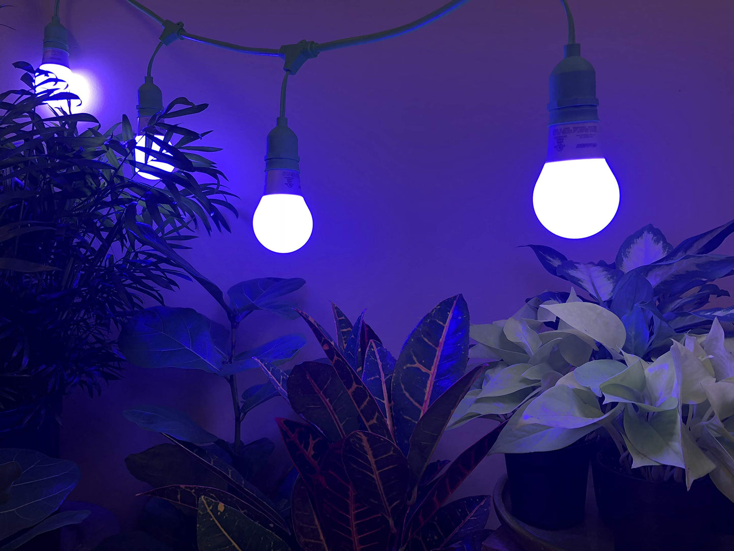 Miracle LED Hydroponics LED Indoor Grow Light Kit - Includes 4 Absolute Daylight Blue Spectrum 100W Replacement Grow Light Bulbs & 1 4-Socket Corded Fixture with SproutMatic Grow Light Timer (6-Pack)