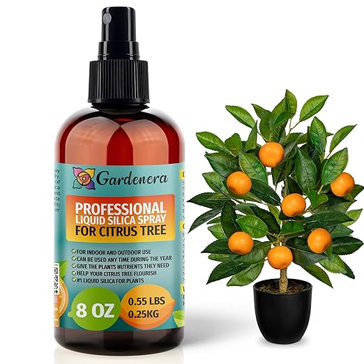 𝐒𝐔𝐏𝐄𝐑𝐈𝐎𝐑 Liquid Silica Boost Fertilizer and Supplement Spray for Citrus Tree Plants – Pre-Mixed, Ready-to-Use Liquid Silicon Plant Superfood Mist for Indoor & Outdoor Plants – 8oz