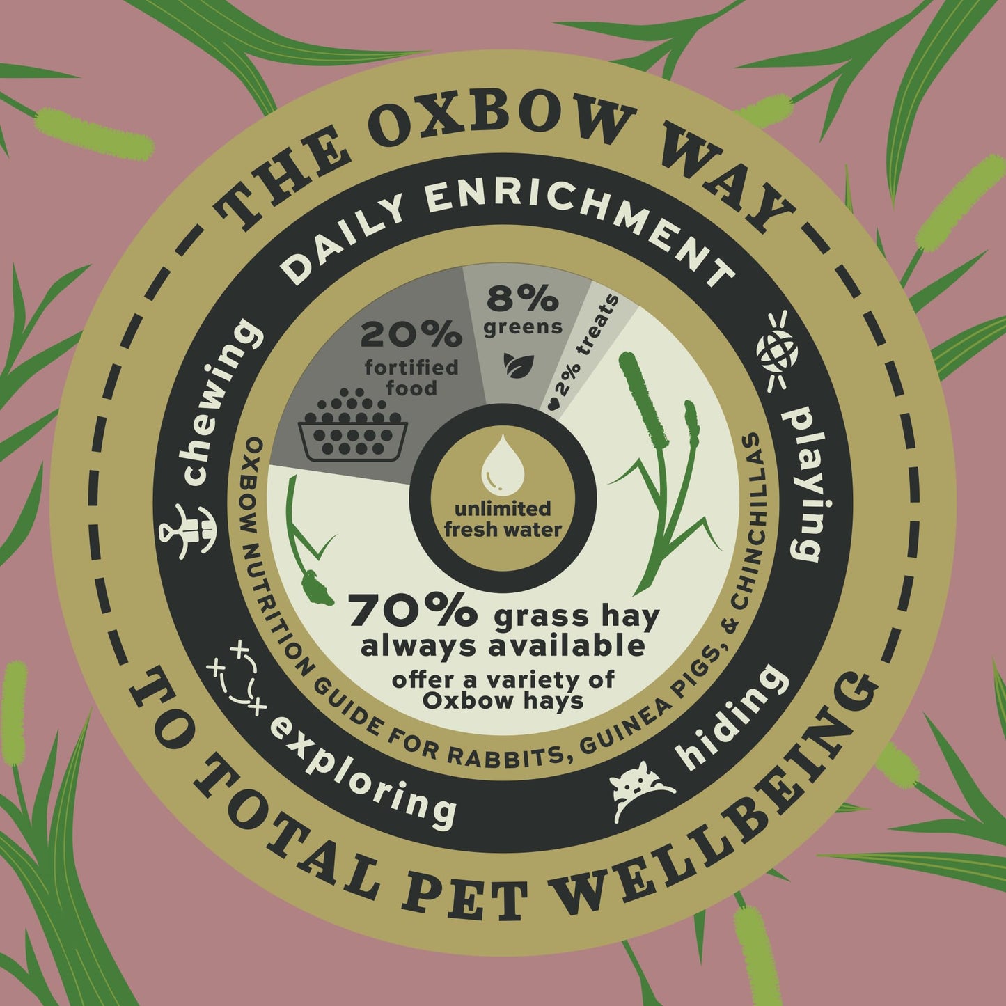 Oxbow Prime Cut Soft & Lush Timothy Hay, Premium Hays for Rabbits, Guinea Pigs, and Chinchilla, High-Fiber Hay, Rabbit Dental Health, 20oz