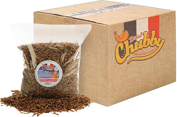 Chubby Dried Mealworms 24 Lbs - Grown in The EU - Non-GMO Mealworms for Chicken & Birds - Chicken Feed Treats for Laying Hens