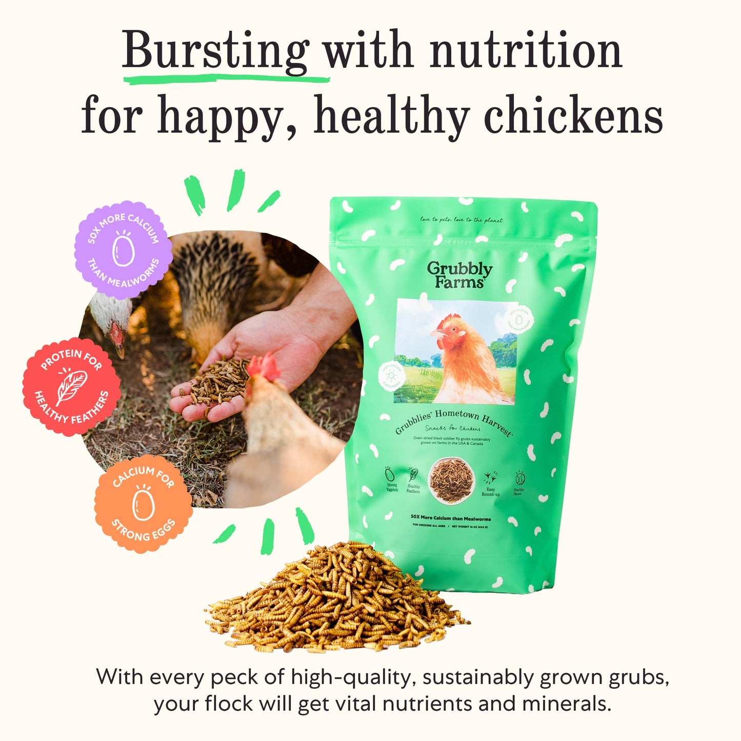 Grubblies - Black Soldier Fly Larvae for Chickens - Chicken Treats Grown in The US and Canada - for Strong Eggshells and Healthy Feathers - Grubblies Hometown Harvest 1LB