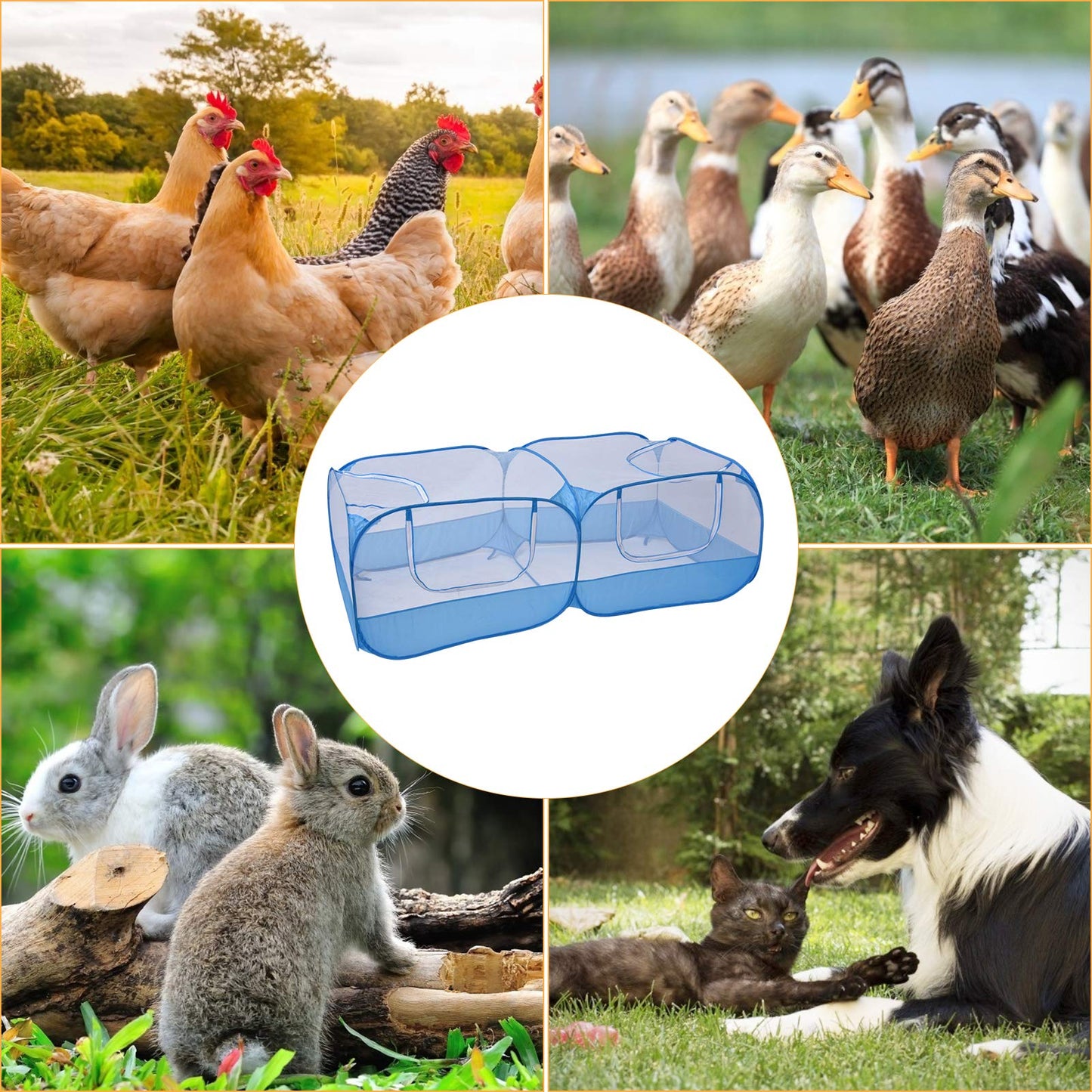Jhua Pet Playpen for Small Animals, Portable Chicken Run with Cover, Foldable Chicken Coop Outdoor, Play Pens for Small Pets with Transparent Mesh Walls for Chicken Duck Puppy Cat Rabbit (Blue)