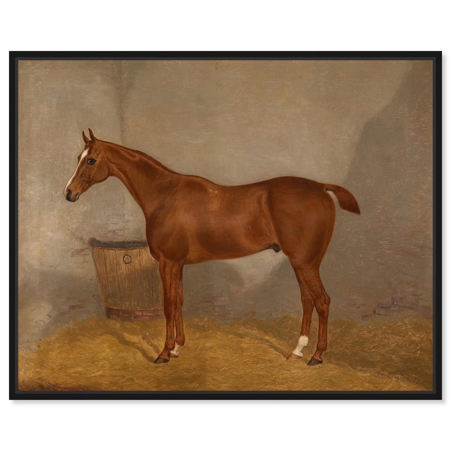 Country Farmhouse Canvas Print Painting Animal Wall Art 'Southern Simple Stable Horse II' Unframed Gallery Wrapped Canvas Rustic Home Décor 45x36 in Brown, Gray by Oliver Gal
