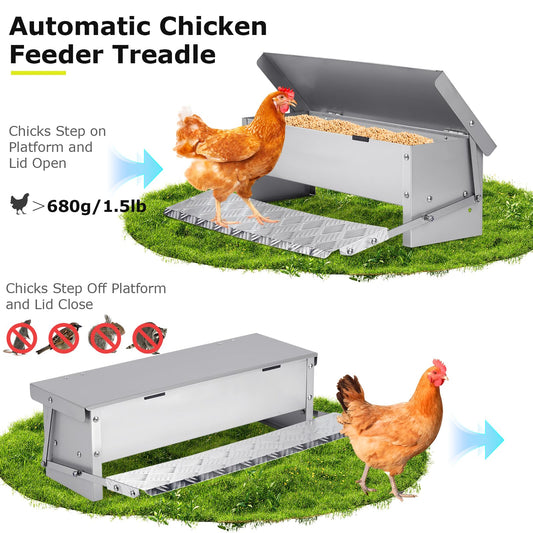 PAULOZYN Automatic Chicken Feeder Treadle Large Poultry Feeders No Waste Stainless Steel Rat Proof Chicken Feeder Trough with Weatherproof Lid Treadle Chicken Feeder Self-Opening for Duck Fowl