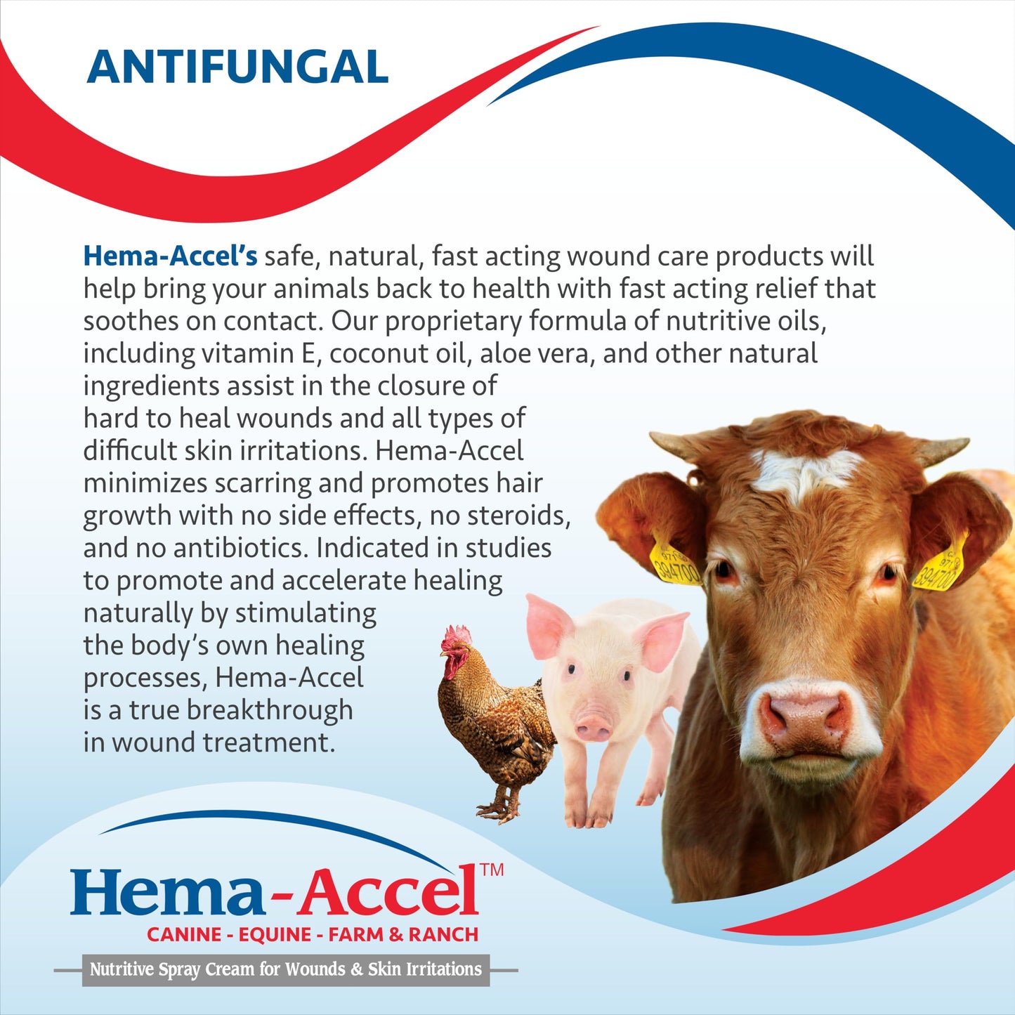 Hema-Accel Equine Wound Care Spray for Horses – Natural Skin Spray with Aloe, Coconut Oil & Vitamin E – Topical Animal Treatment for Minor Cuts, Burns, Scratches, Hotspots, Irritation – 16 oz