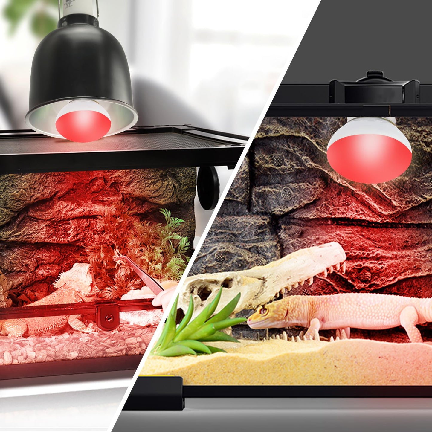 LUCKY HERP Infrared Heat Lamp, 40W Reptile Heat Lamp 2 Pack Red Heat Lamp Bulbs, Infrared Basking Spot Heat Light Bulb, Amphibians Heat Lamp Bulbs for Reptile, Geckos, Snakes, Lizard, Turtle