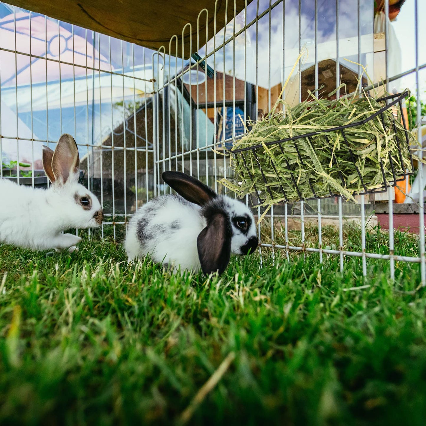Therwen 4 Pcs Rabbit Hay Feeder Heavy Duty Metal Rabbit Hay Rack with Hooks Cage Hanging Hay Holder for Chinchilla Bunny Guinea Pig Ferret Accessories(9.1 x 3.9 x 3 Inches)