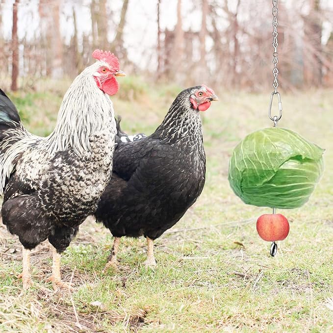 Chicken Veggies Skewer Vegetable Coop Hanging Chicken Feeder Toy for Hen, Rooster, Duck, Poultry