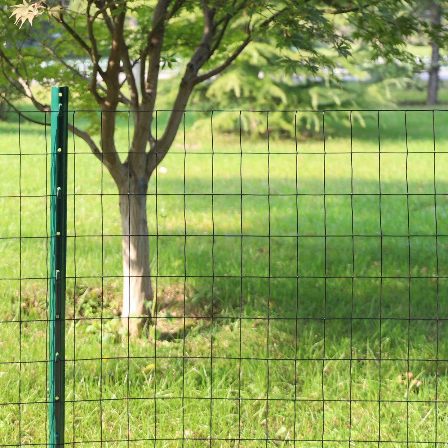 FOREHOGAR Black PVC Coated Welded Wire Fence 36 Inch x 25 Foot, 2 Inch x 3 Inch 16GA, Garden Border Fencing Roll Vinyl Coating Metal Wire Mesh for Yard Vegetable Plant Protection Poultry Netting