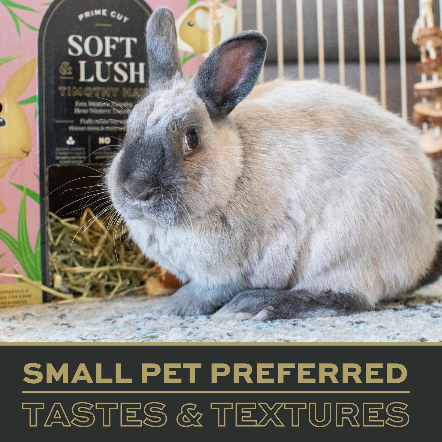 Oxbow Prime Cut Soft & Lush Timothy Hay, Premium Hays for Rabbits, Guinea Pigs, and Chinchilla, High-Fiber Hay, Rabbit Dental Health, 20oz