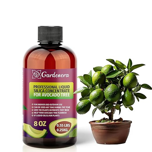 𝐏𝐑𝐄𝐌𝐈𝐔𝐌 Liquid Silica Plant Supplement - 8oz (250mL) - Avocado Plants Liquid Silica Boost Fertilizer - Stronger Stems & Healthy Leaves for Indoor & Outdoor Avocado Trees (Makes 45 Gallons)
