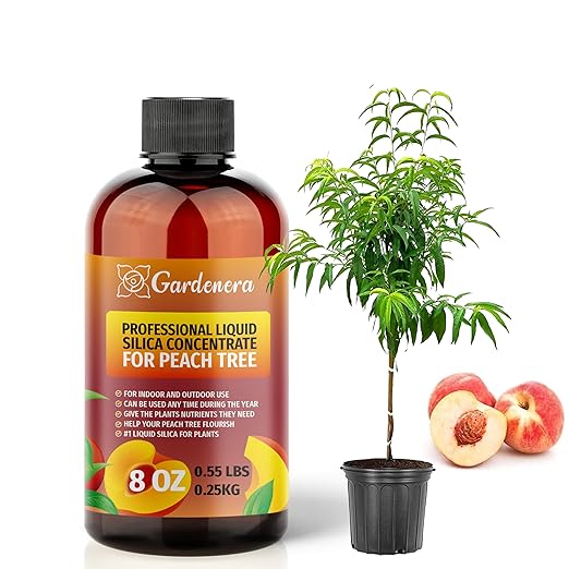 𝐏𝐑𝐄𝐌𝐈𝐔𝐌 Liquid Silica Plant Supplement - 8oz (250mL) - Peach Tree Plants Liquid Silica Boost Fertilizer - Stronger Stems & Healthy Leaves for Indoor & Outdoor Peach Trees (Makes 45 Gallons)