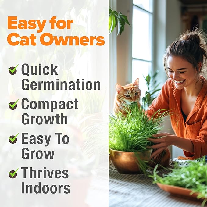 HOME GROWN 3 Cat Grass Seed Mix – Non-GMO Heirloom Oat, Alfalfa & Cat Grass Seeds | Indoor Pet Grass for Cats | High-Germination Greens for Hairball Control, Digestion, and Chewing Enrichment