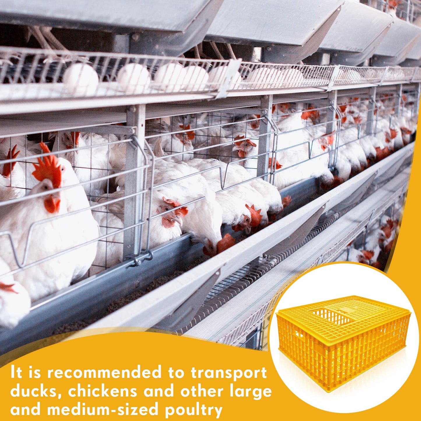 Sintuff 2 Pieces Poultry Carrier Crate Plastic Chicken Transport Cage Bird Carrier Chicken Carrier Travel Crate Basket Box for Poultry Chicken Bird Duck Goose, 29.5 x 21.7 x 11.6 Inch